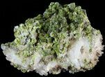 Lustrous, Epidote Crystal Cluster with Quartz - Morocco #49419-1